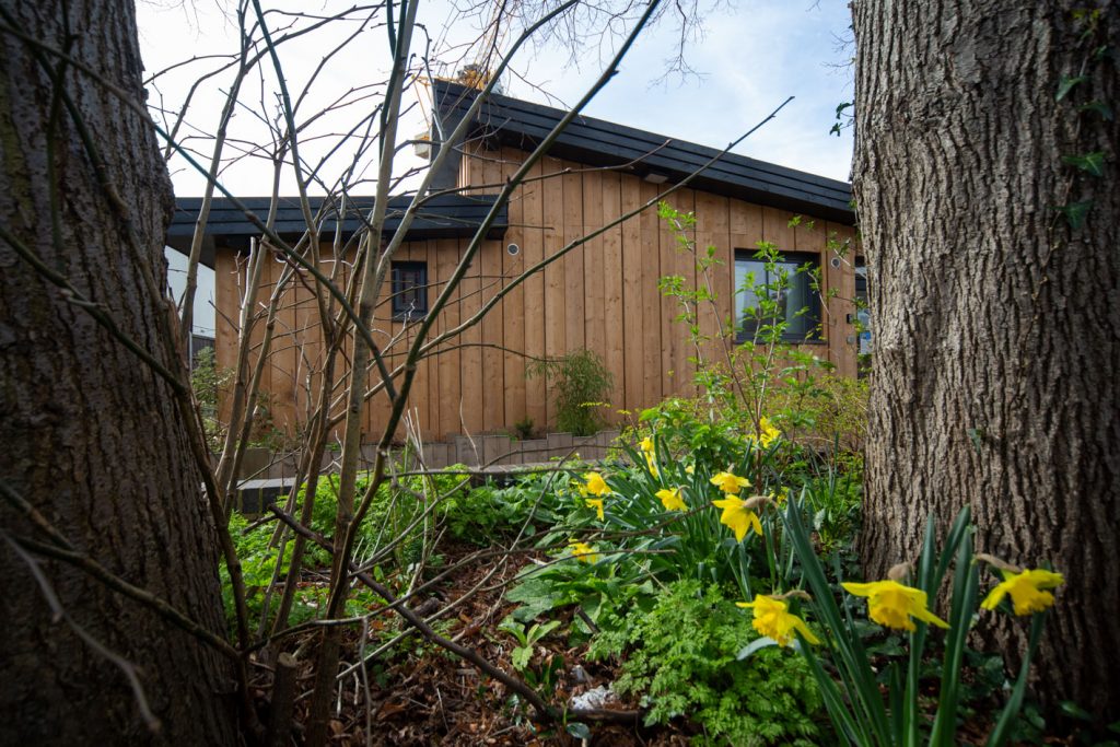 Photo of single-storey building clad in wooden planks, with daffodils in foregraound